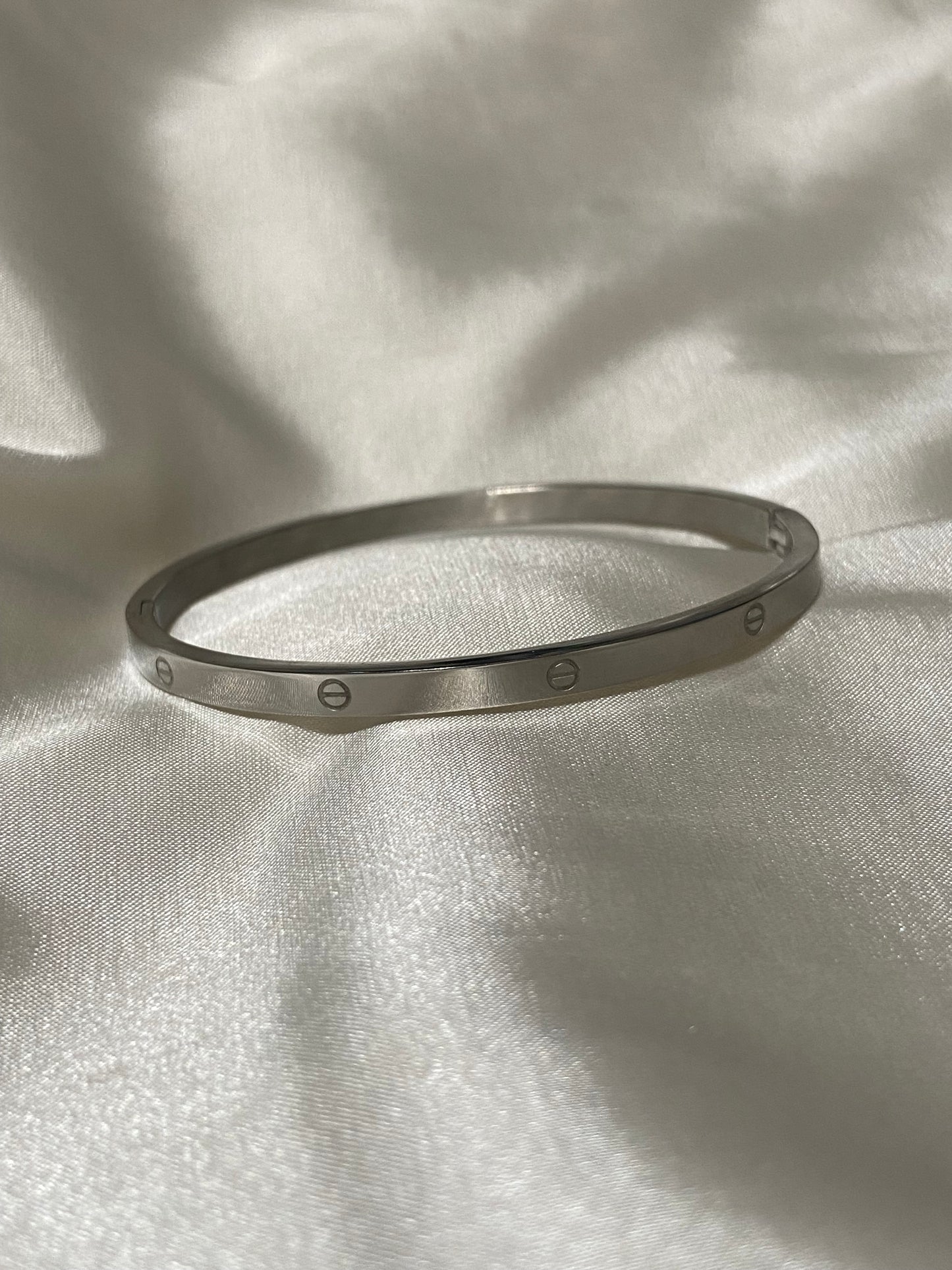 Thin Carti Stainless Steel Bangles