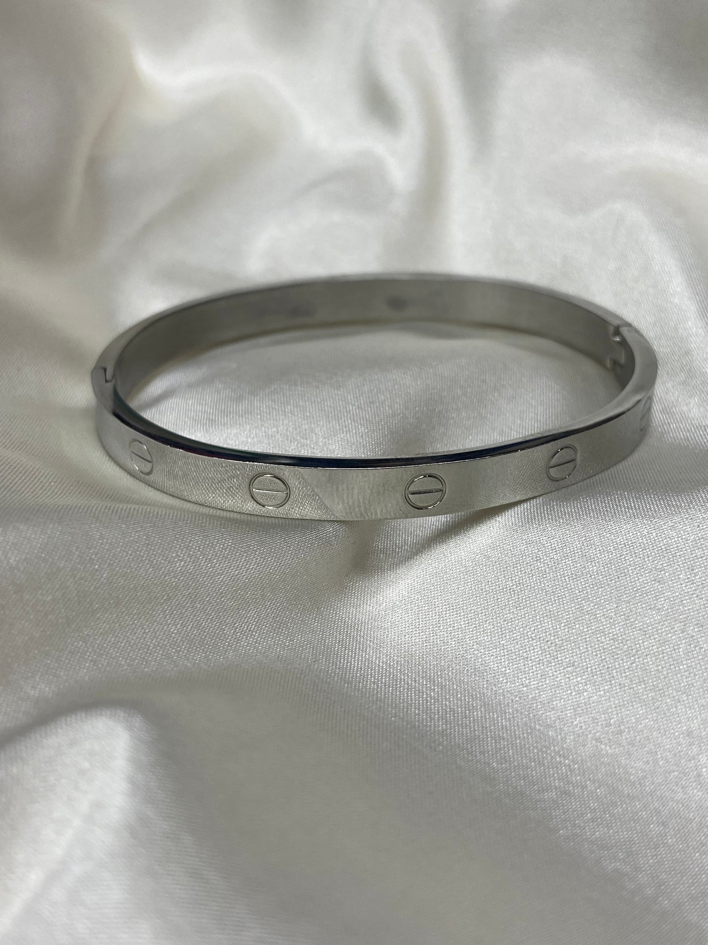 Carti Stainless Steel Bangles