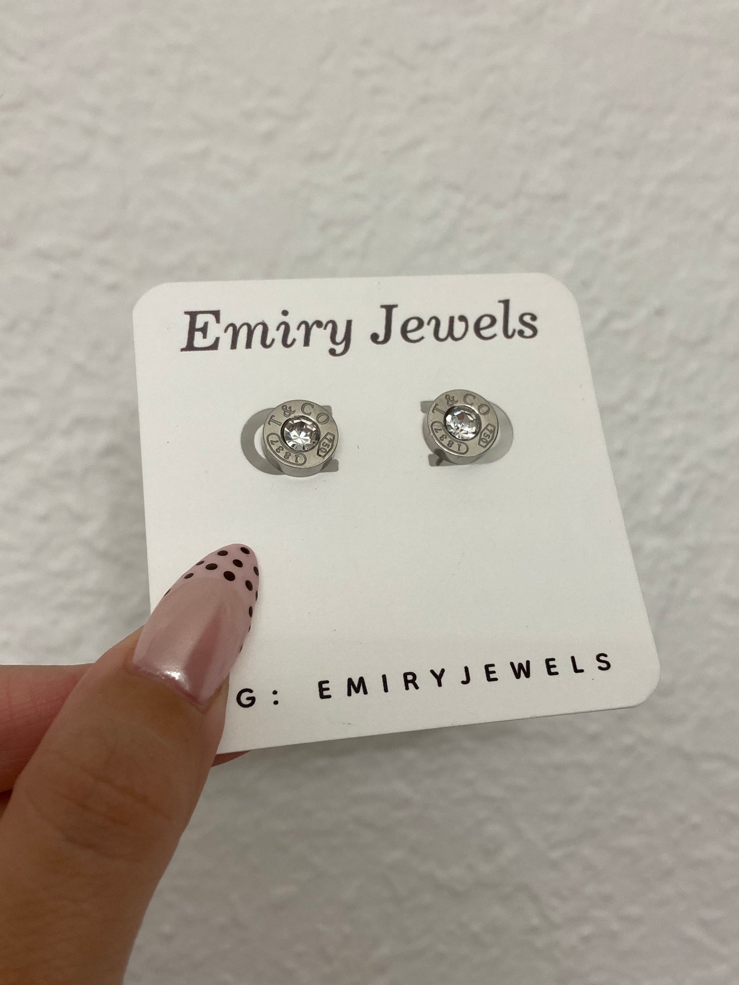 Stainless Steel Earrings