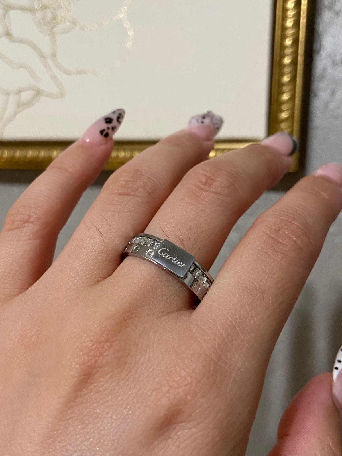 Carti Silver CZ Stainless Steel Ring